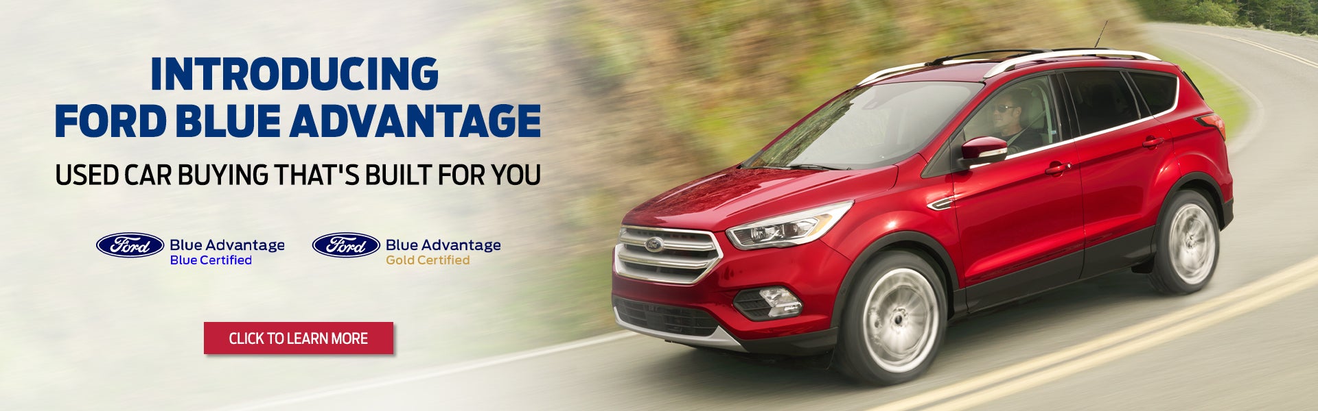 Introducing Ford Blue Advantage